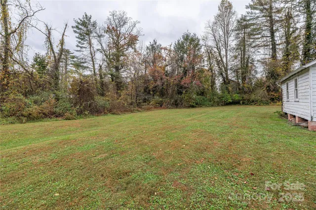 a view of a field with trees in the background