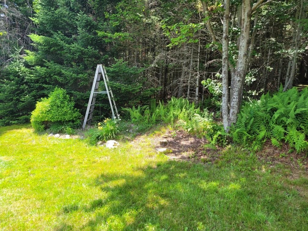 174 Boudle Road Stewartstown, NH 03576 - Photo 7 of 53