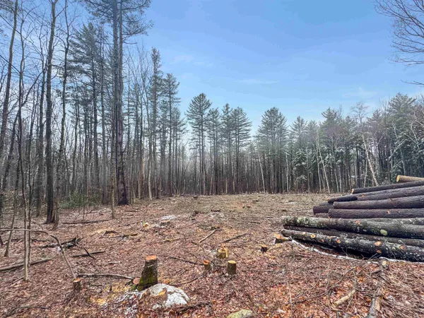 $59,000 | 0 Hunt Road, Wardsboro, VT 05355