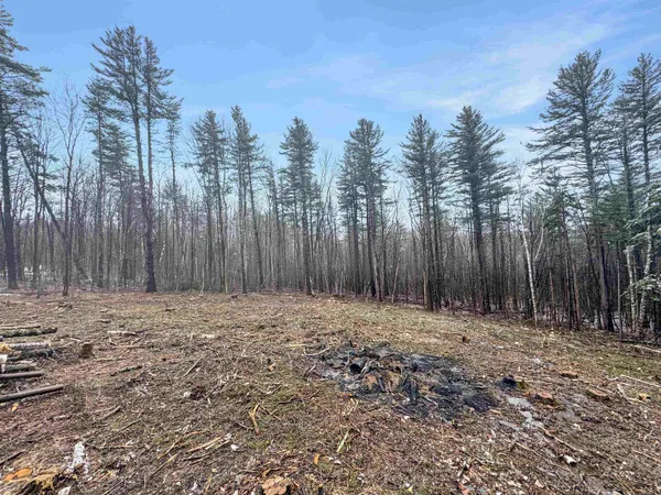 $59,000 | 0 Hunt Road, Wardsboro, VT 05355