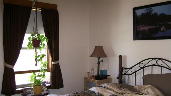 23 Riverside Street Needham, MA 02494 - Photo 11 of 12 a living room with furniture and a potted plant