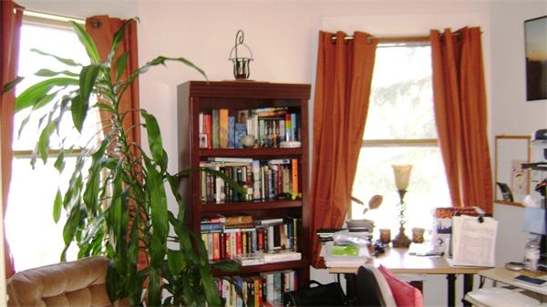 23 Riverside Street Needham, MA 02494 - Photo 7 of 12 a living room filled with furniture and a potted plant