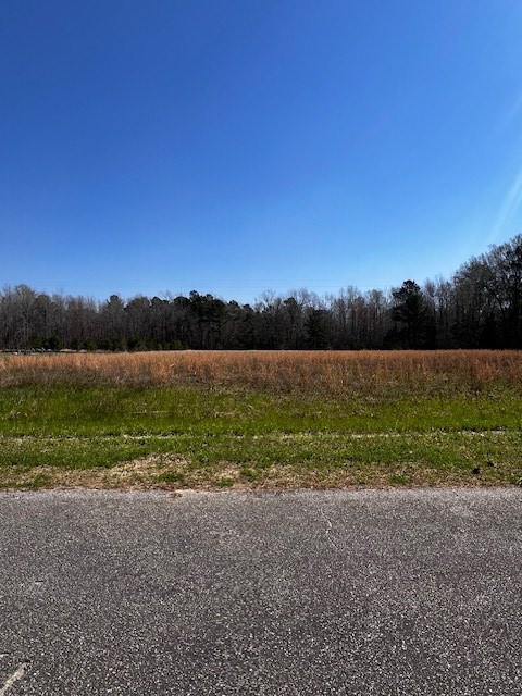 0 Pompey Town Road Greeleyville, SC 29056 - Photo 4 of 4 Gallery Image 4