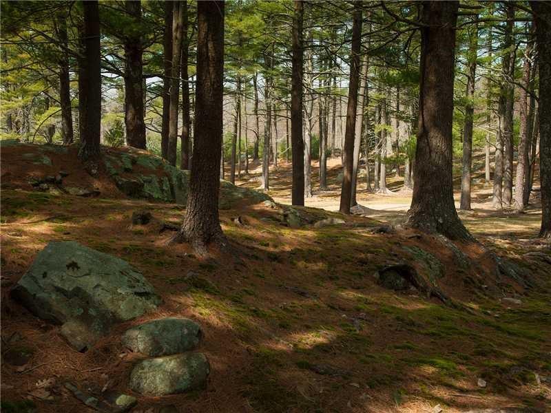 1970 Highway 1, Unit 11 York, ME 03902 - Photo 11 of 13 Photo