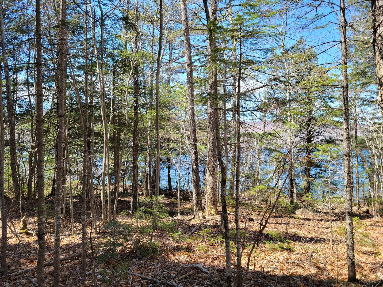 0 Farmer Road Wilton, ME 04294 - Photo 3 of 31 5Wilton waterfront 6