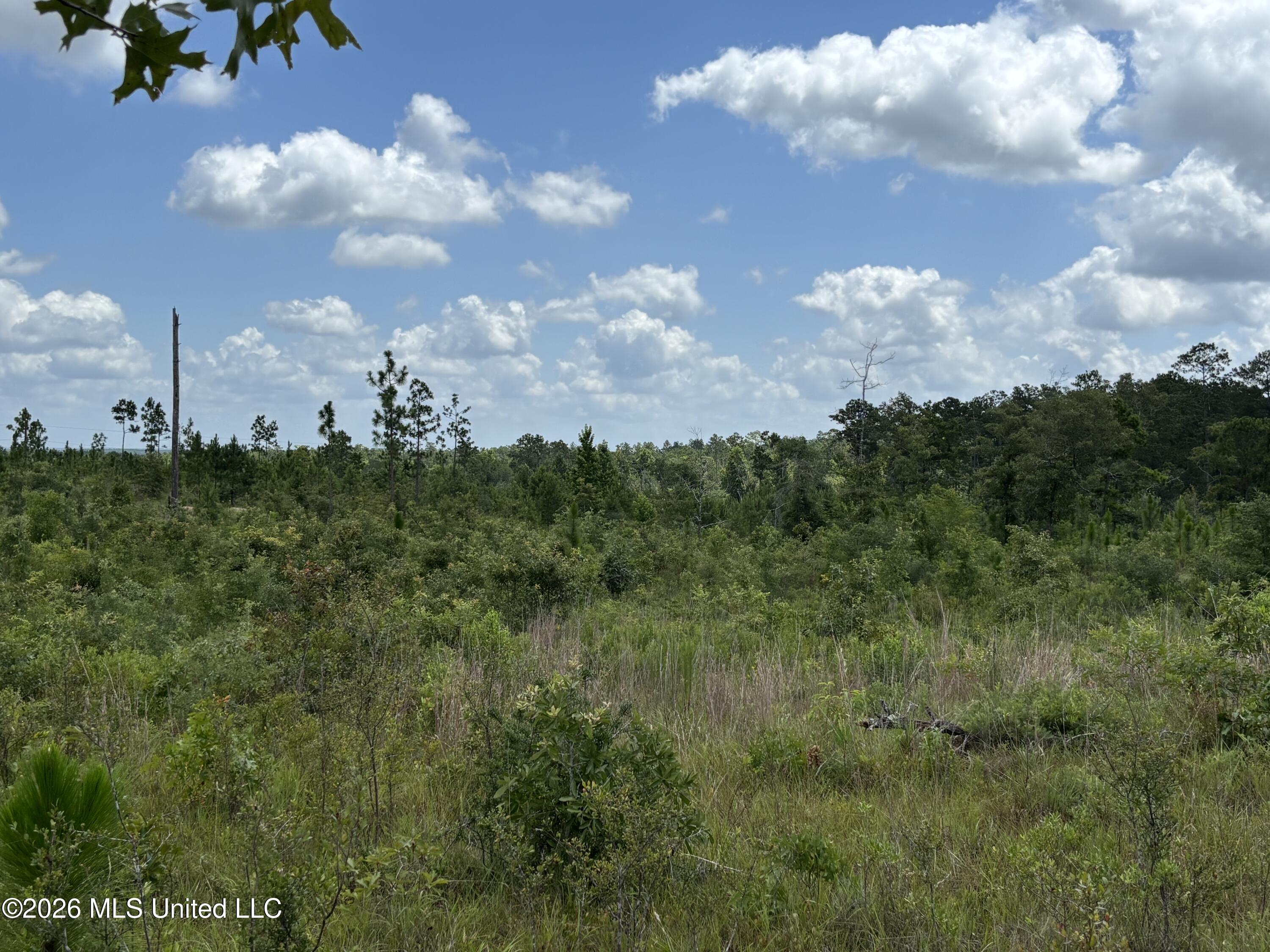 196 South County Line Road Lumberton, MS 39455 - Photo 12 of 18 IMG_3004