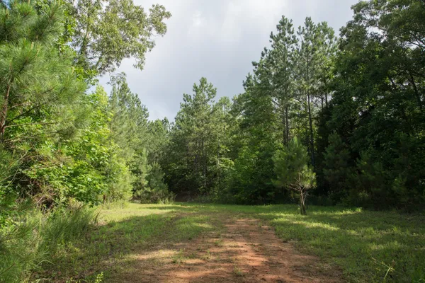 a view of a grassy field with trees in the background