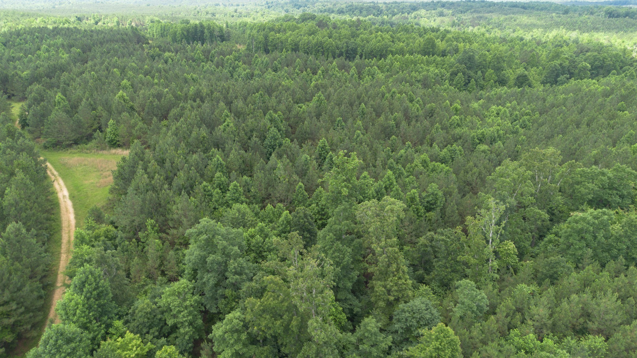 0 Old State Highway 69 Sugar Tree, TN 38380 - Photo 5 of 13