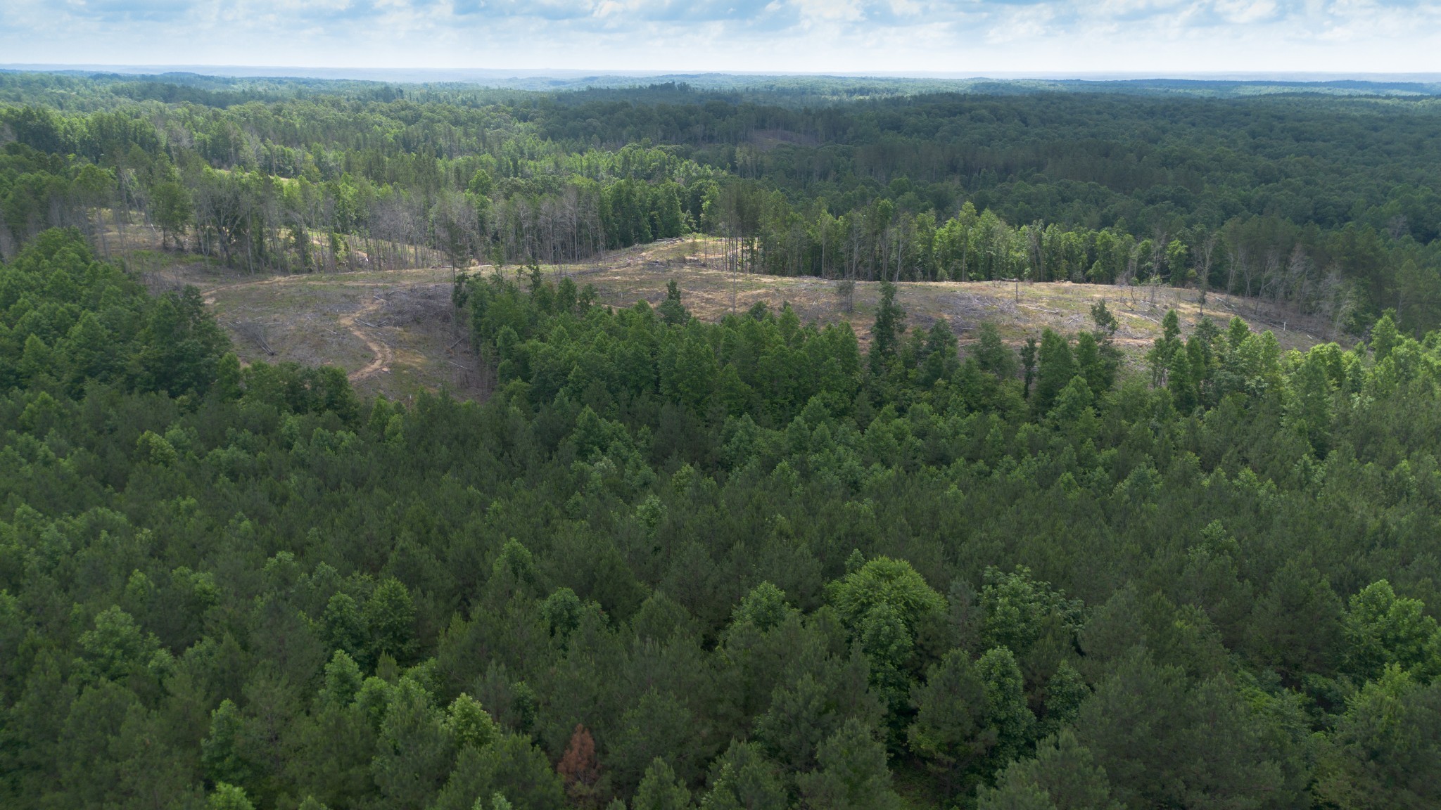 0 Old State Highway 69 Sugar Tree, TN 38380 - Photo 8 of 13