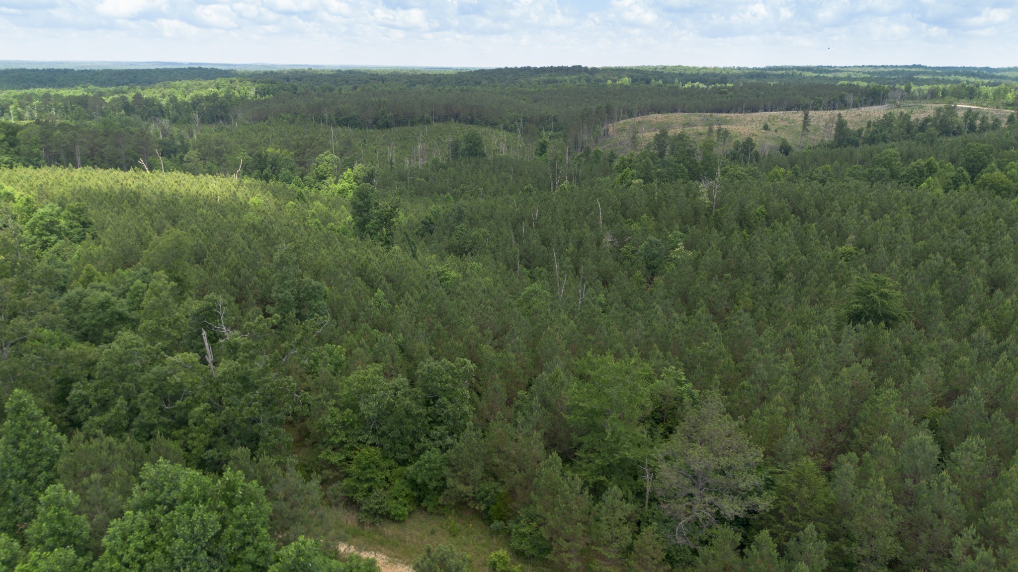 0 Old State Highway 69 Sugar Tree, TN 38380 - Photo 9 of 13