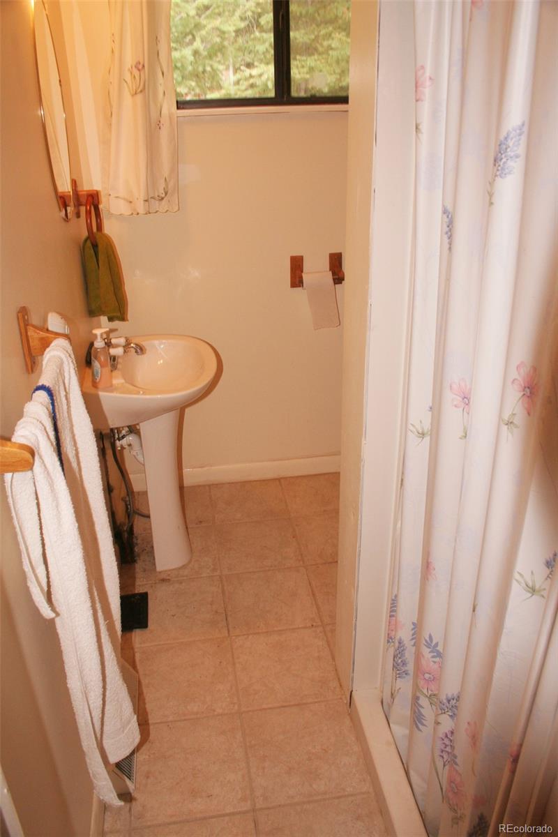 777 Singletree Road Hartsel, CO 80449 - Photo 18 of 31 a bathroom with a sink a mirror and a shower