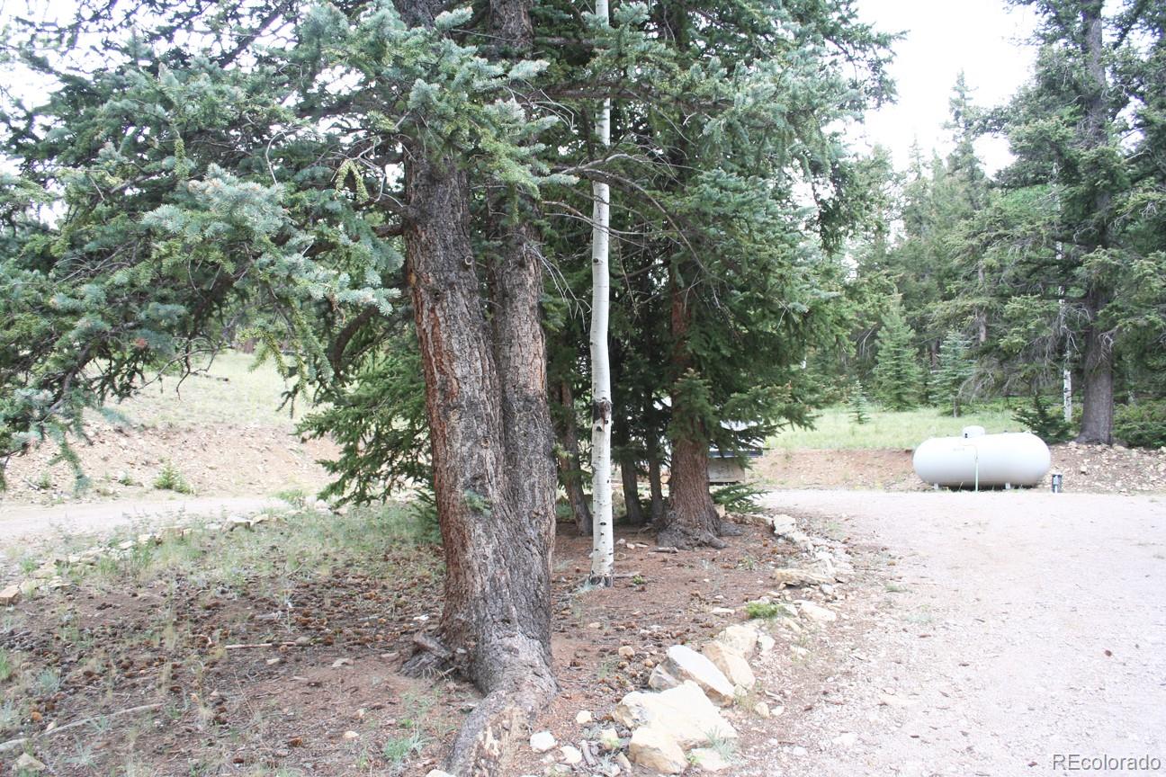 777 Singletree Road Hartsel, CO 80449 - Photo 23 of 31 a view of backyard with tree