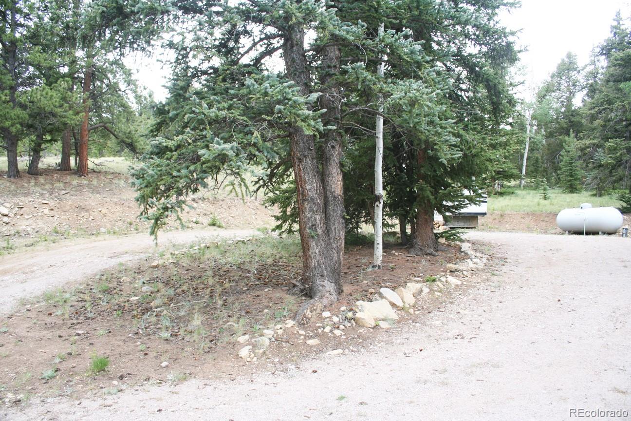 777 Singletree Road Hartsel, CO 80449 - Photo 29 of 31 a view of a forest with trees in the background
