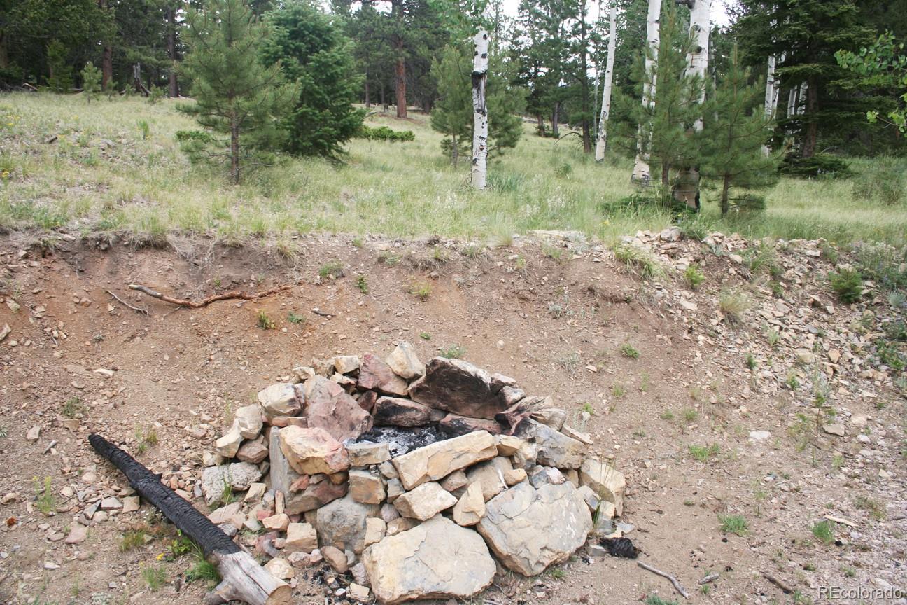 777 Singletree Road Hartsel, CO 80449 - Photo 4 of 31 a view of a yard with plants and trees