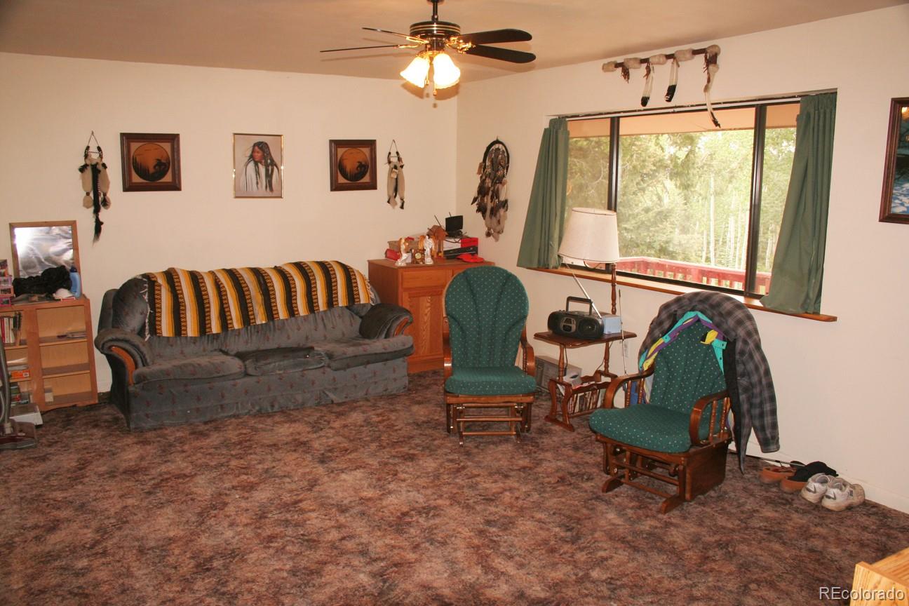 777 Singletree Road Hartsel, CO 80449 - Photo 9 of 31 a living room with furniture and a window
