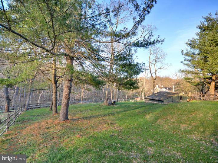 211 Bollinger Road Elverson, PA 19520 - Photo 5 of 25 Back Yard