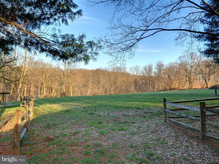 211 Bollinger Road Elverson, PA 19520 - Photo 6 of 25 Back Yard