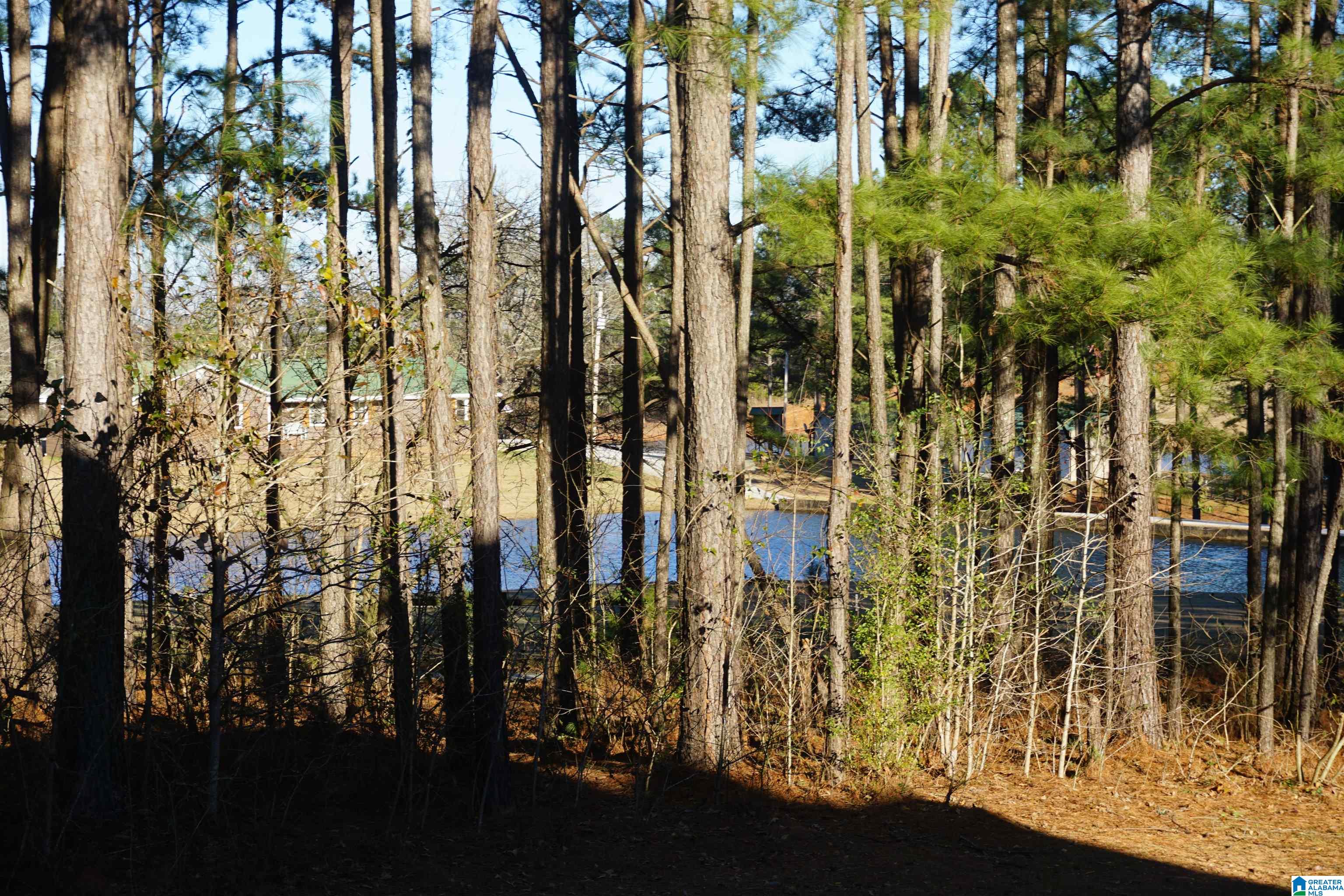 1047 Bud Cummings Road Roanoke, AL 36274 - Photo 25 of 26