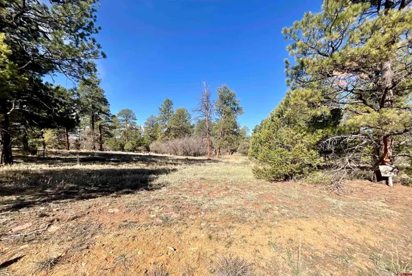 $65,000 | Tbd South Badger Trail, Ridgway, CO 81432