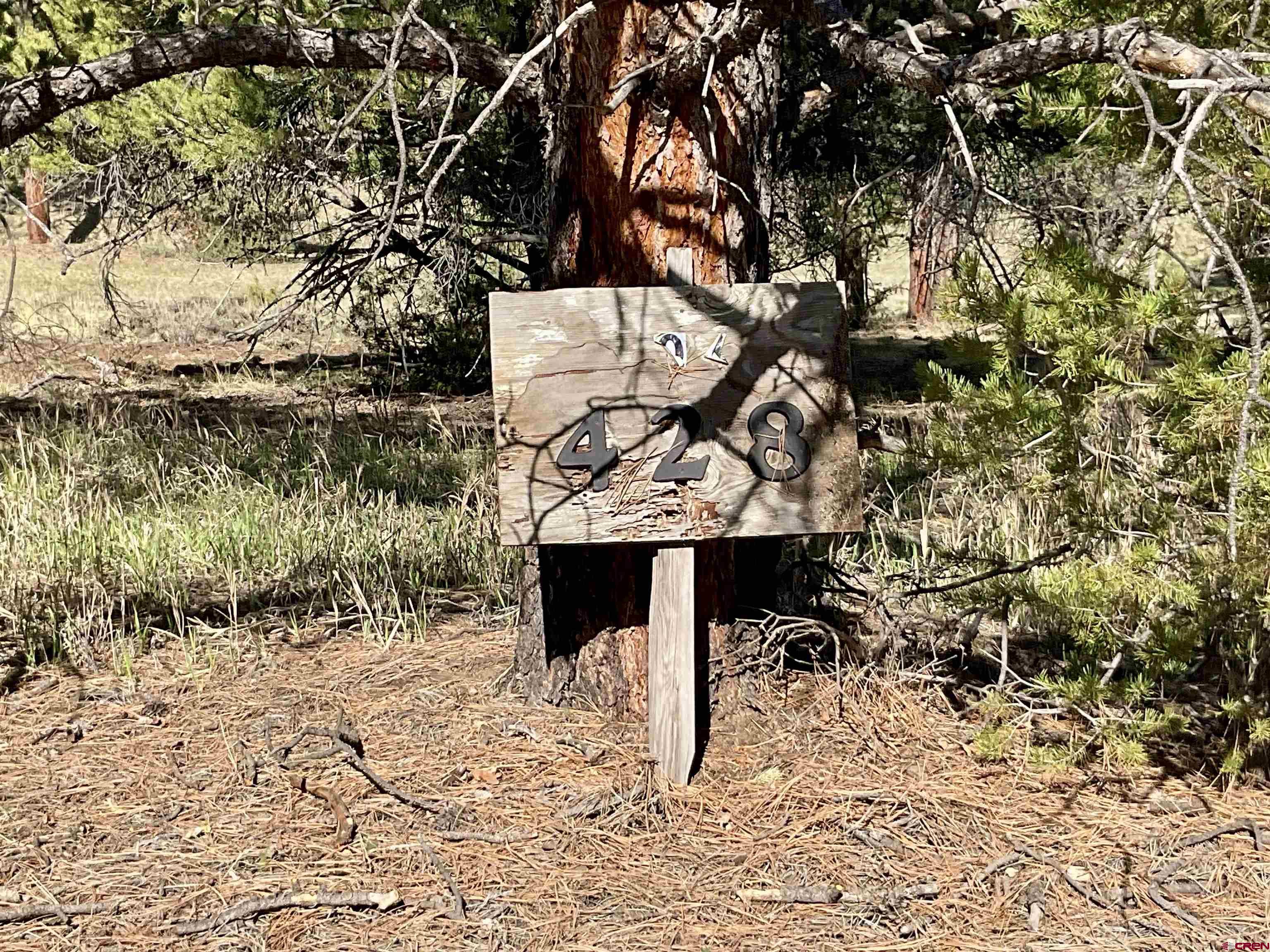 Tbd South Badger Trail Ridgway, CO 81432 - Photo 11 of 11