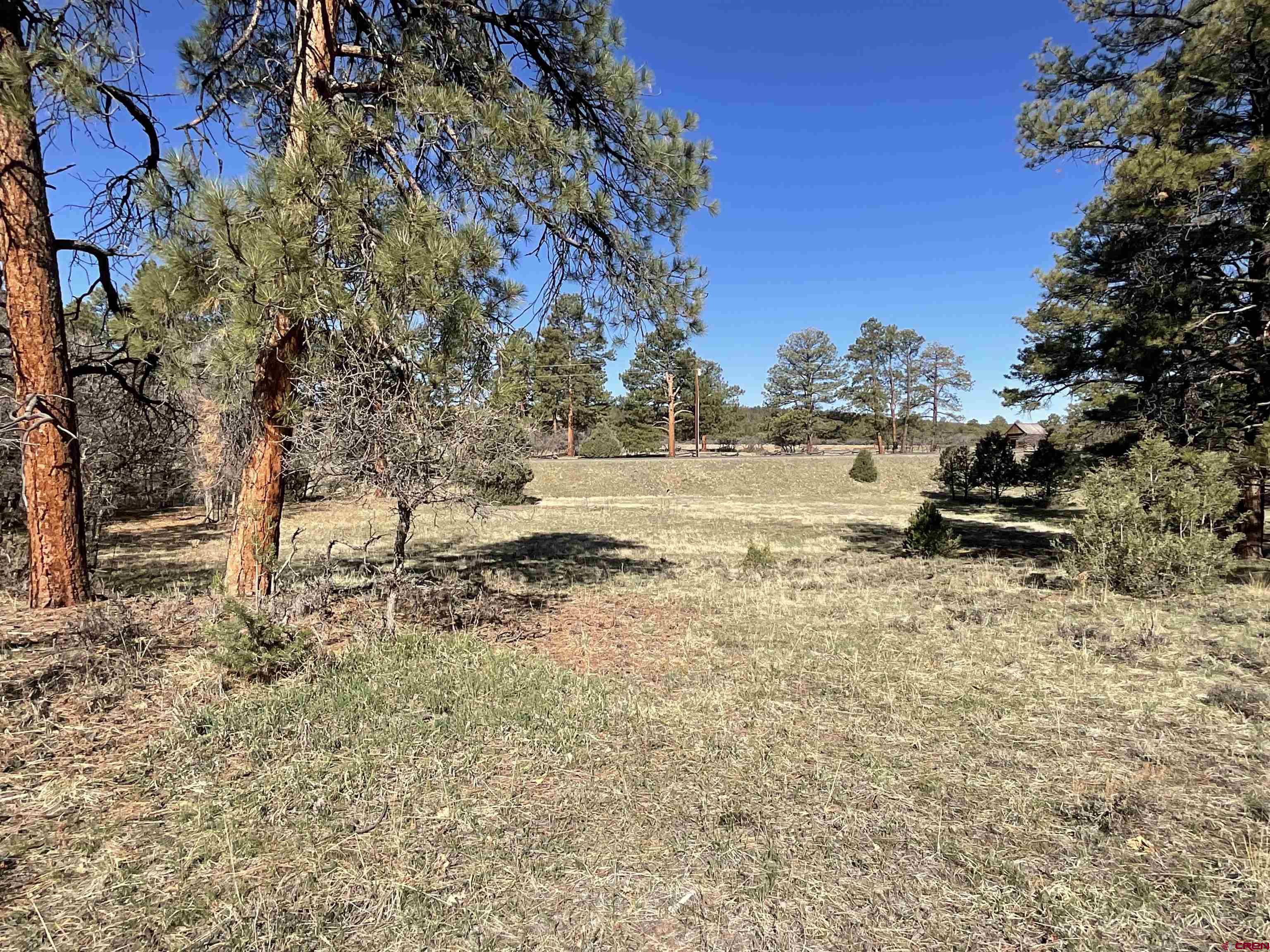 Tbd South Badger Trail Ridgway, CO 81432 - Photo 2 of 11