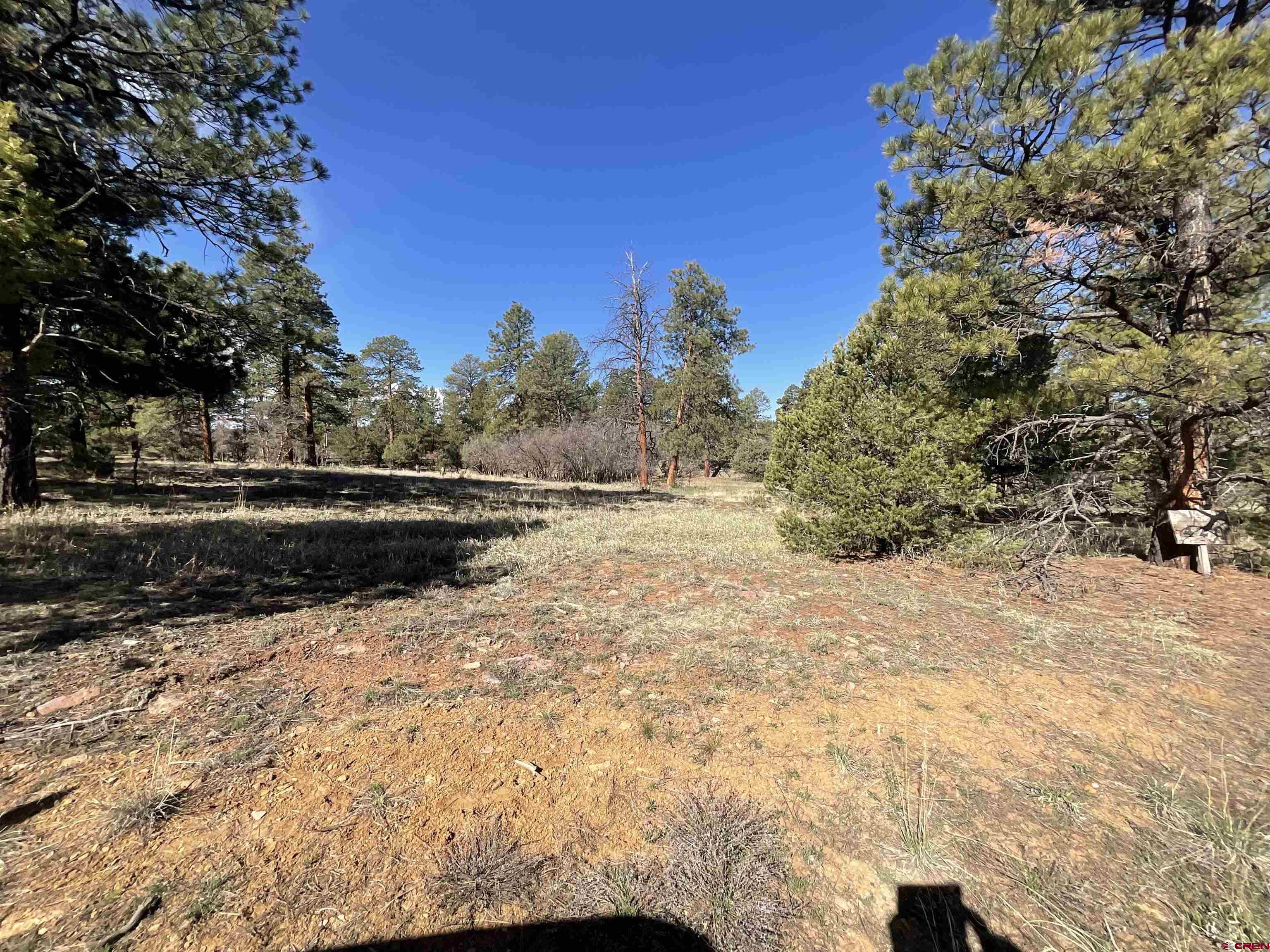 Tbd South Badger Trail Ridgway, CO 81432 - Photo 3 of 11