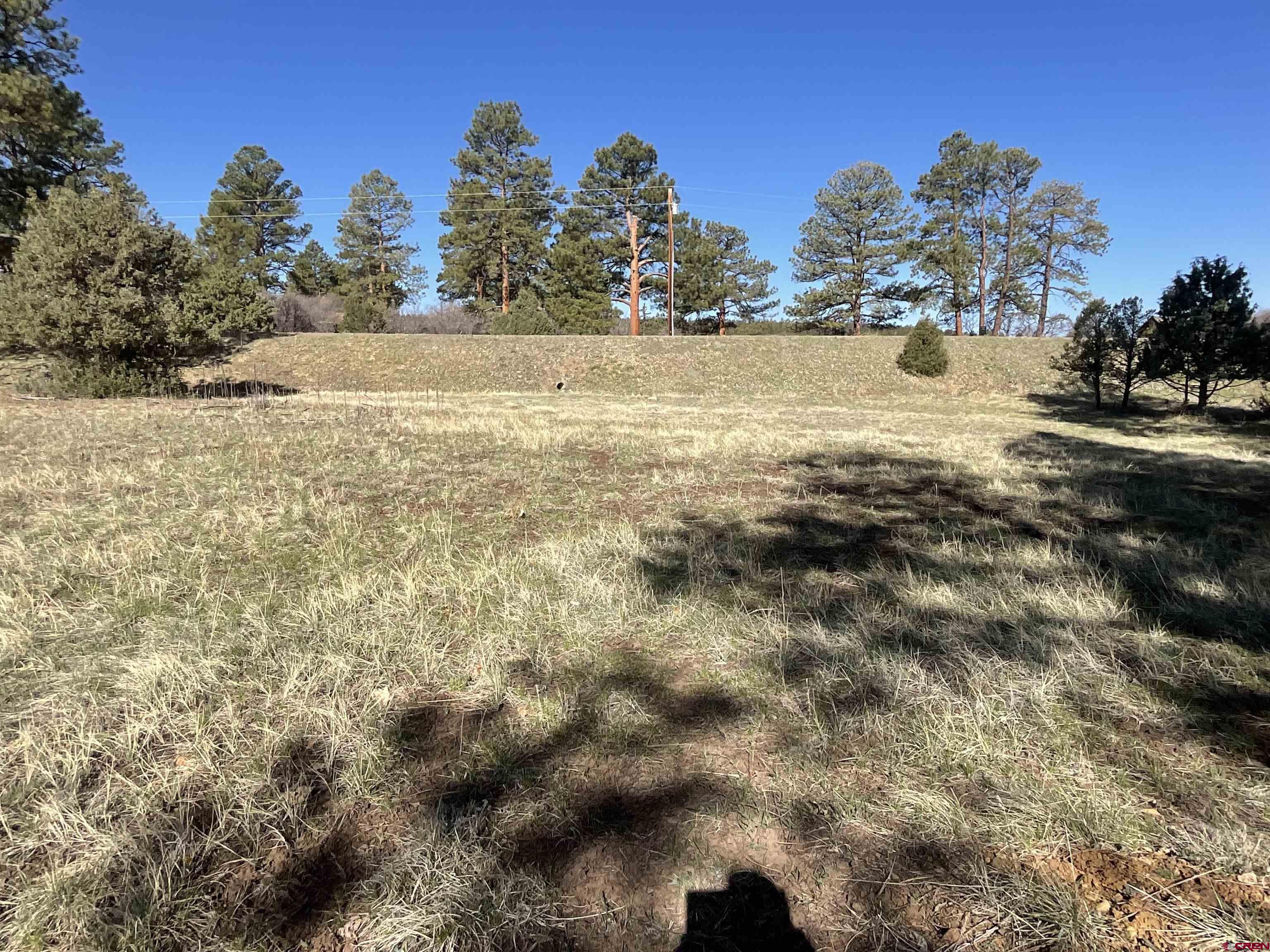 Tbd South Badger Trail Ridgway, CO 81432 - Photo 4 of 11