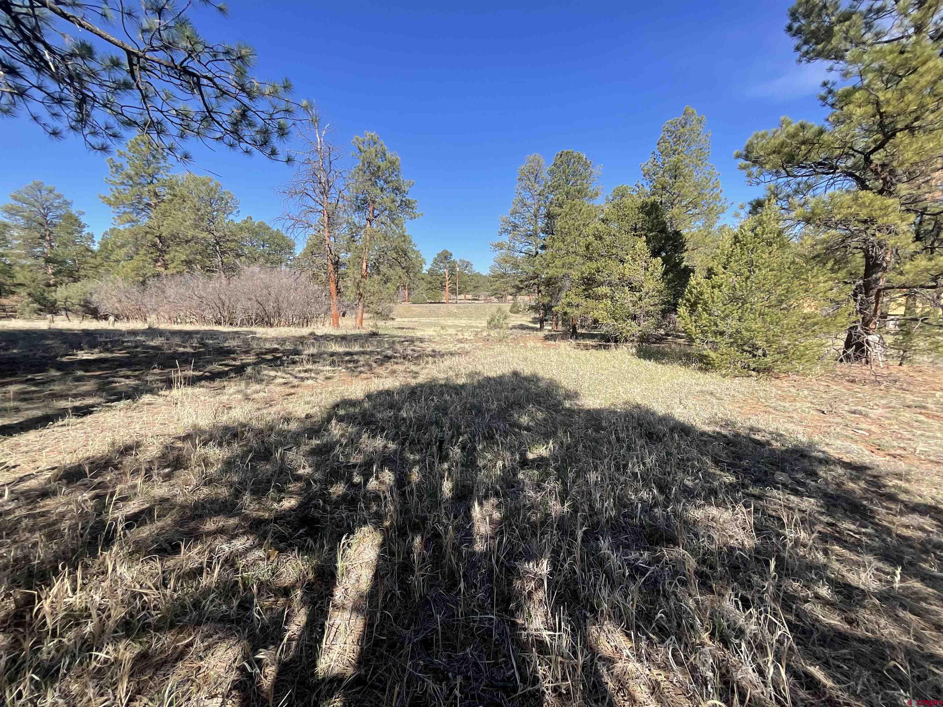 Tbd South Badger Trail Ridgway, CO 81432 - Photo 5 of 11