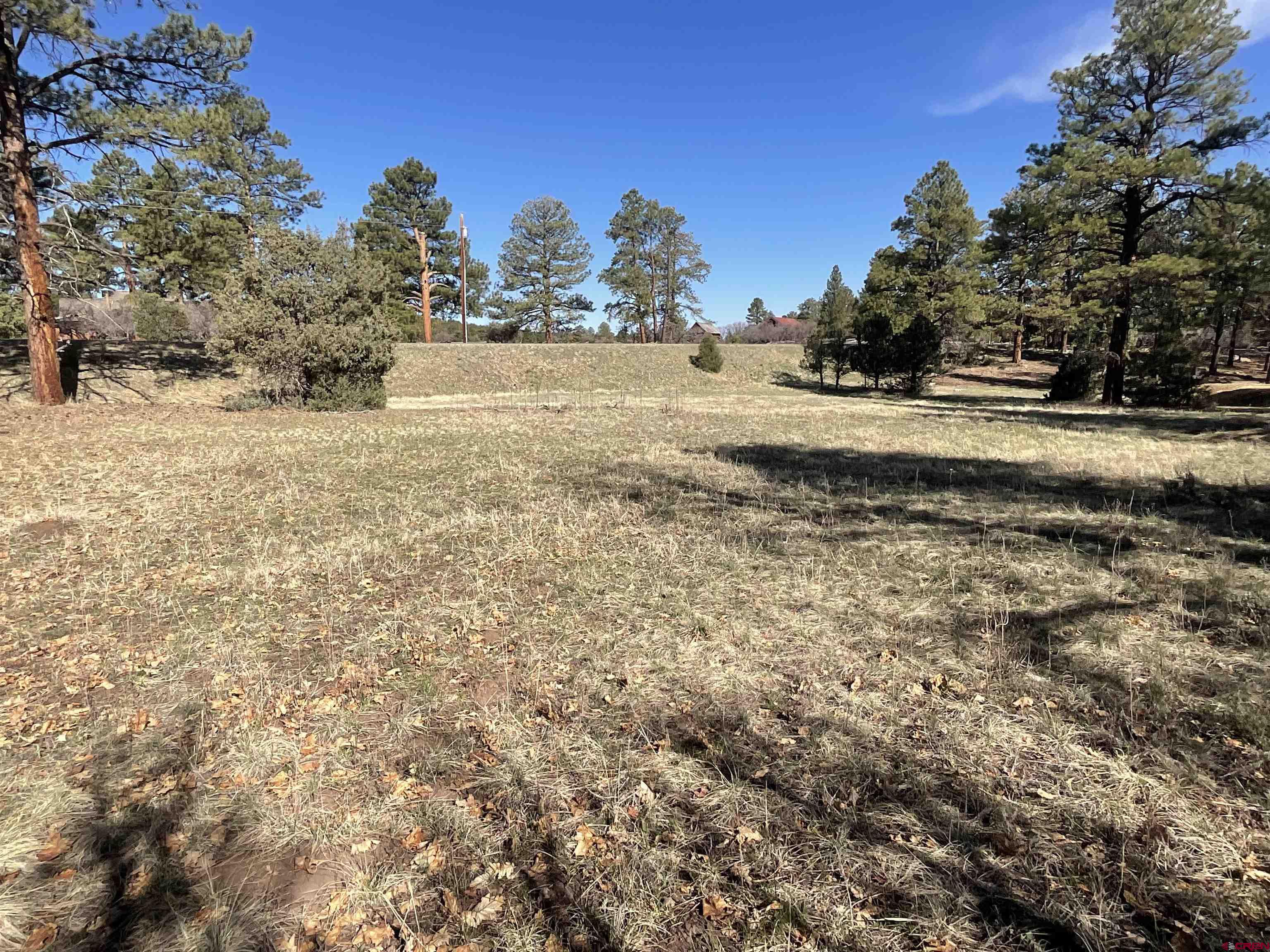 Tbd South Badger Trail Ridgway, CO 81432 - Photo 6 of 11