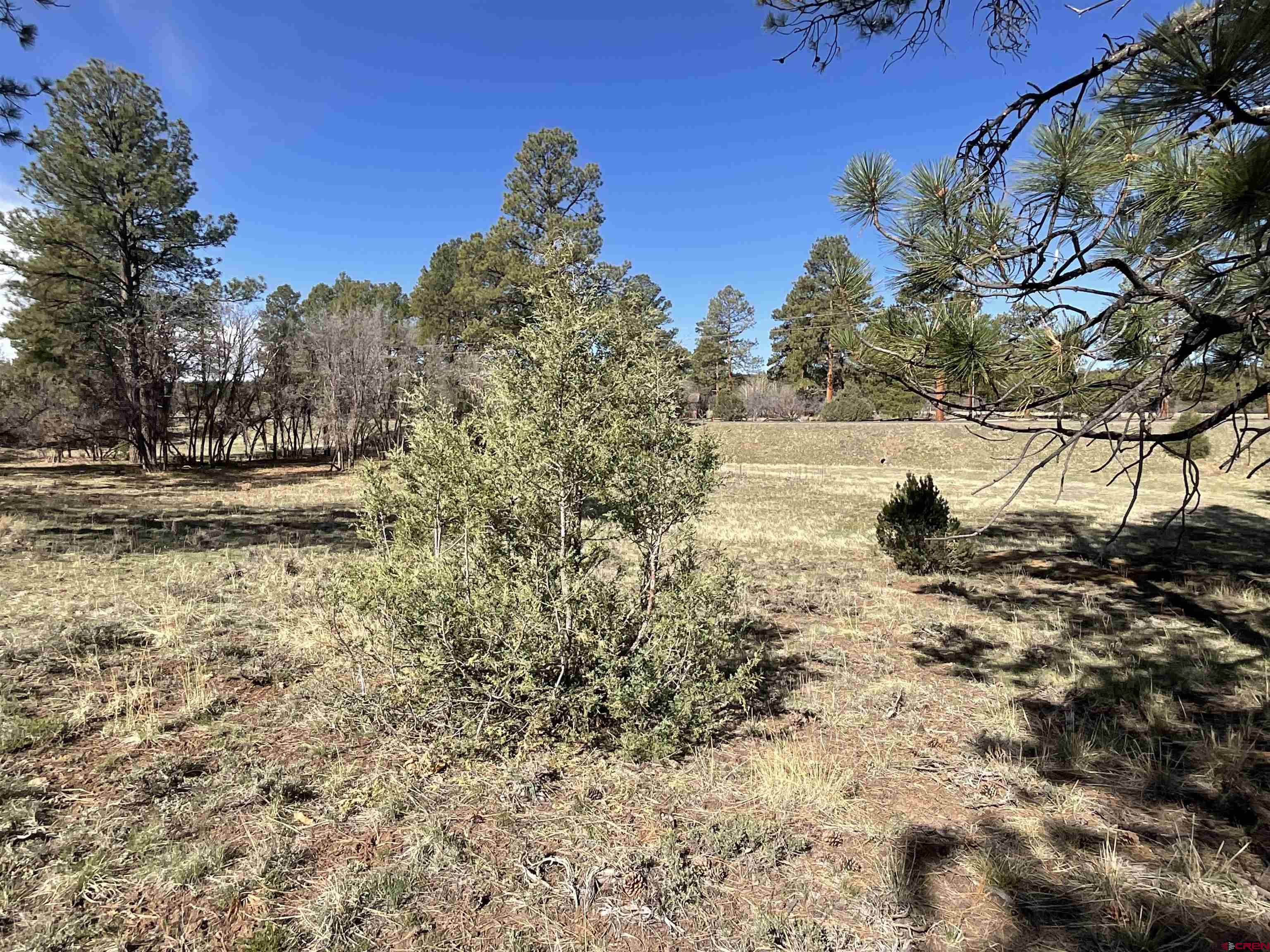 Tbd South Badger Trail Ridgway, CO 81432 - Photo 7 of 11