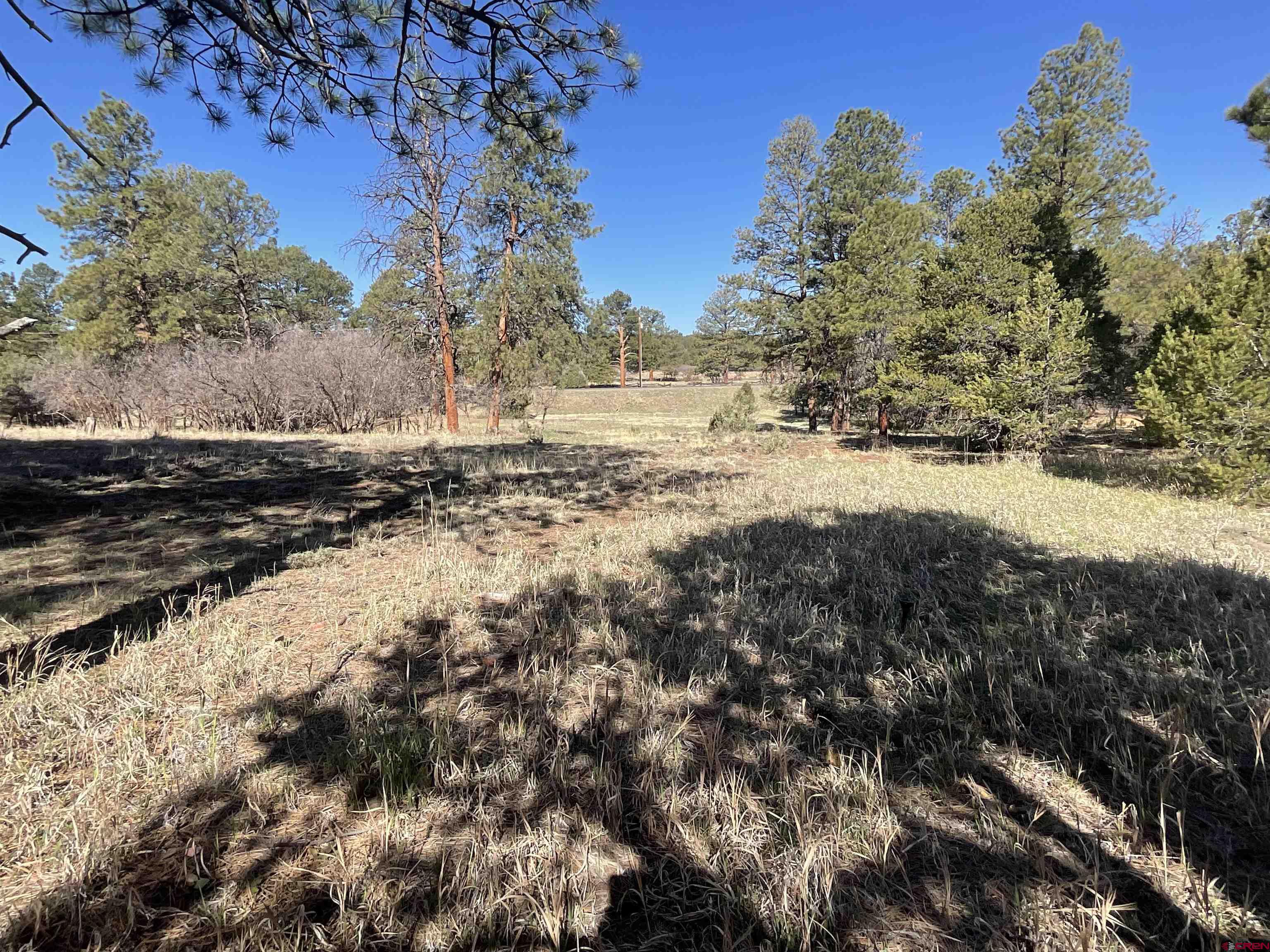 Tbd South Badger Trail Ridgway, CO 81432 - Photo 8 of 11