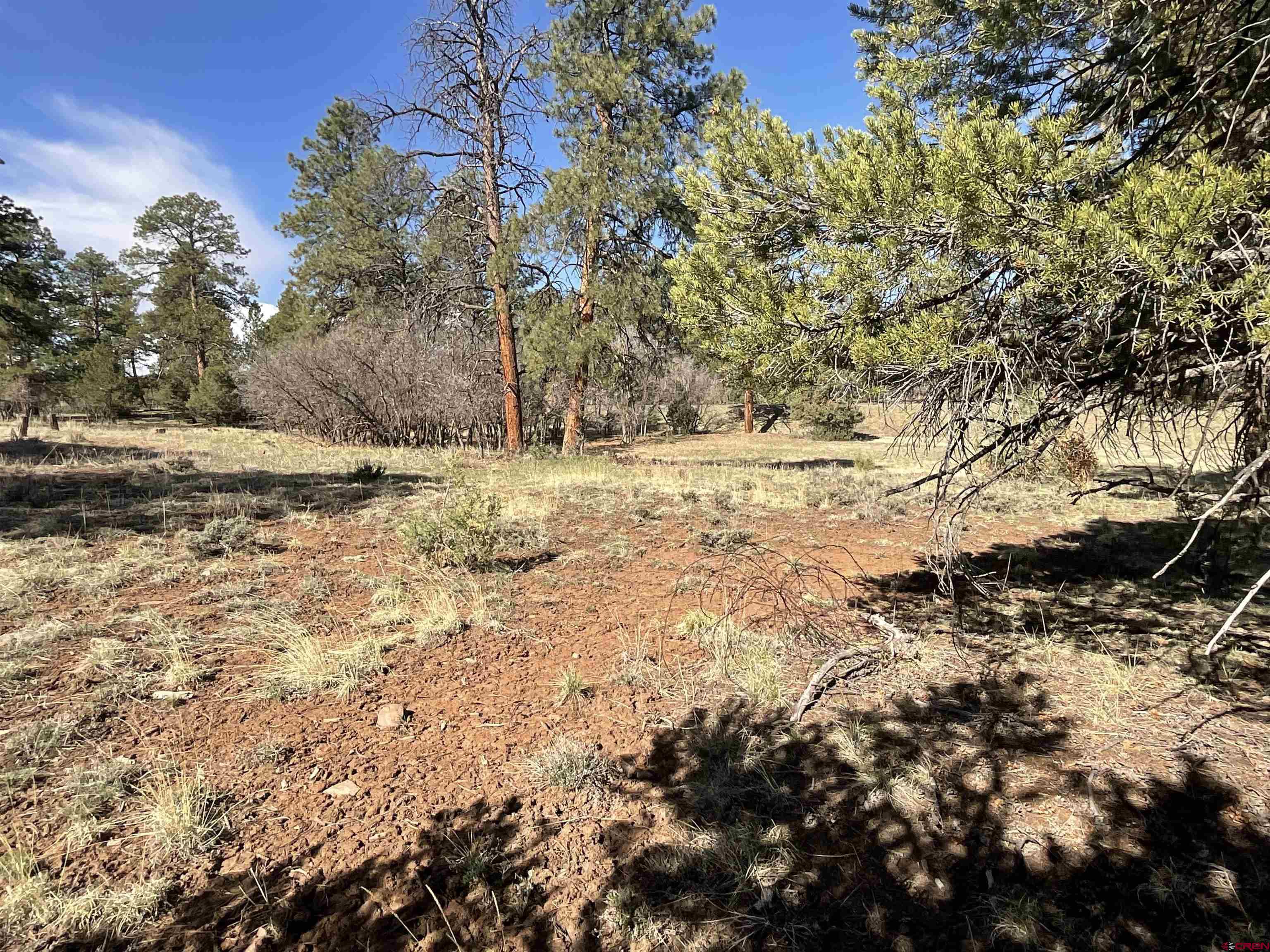 Tbd South Badger Trail Ridgway, CO 81432 - Photo 9 of 11