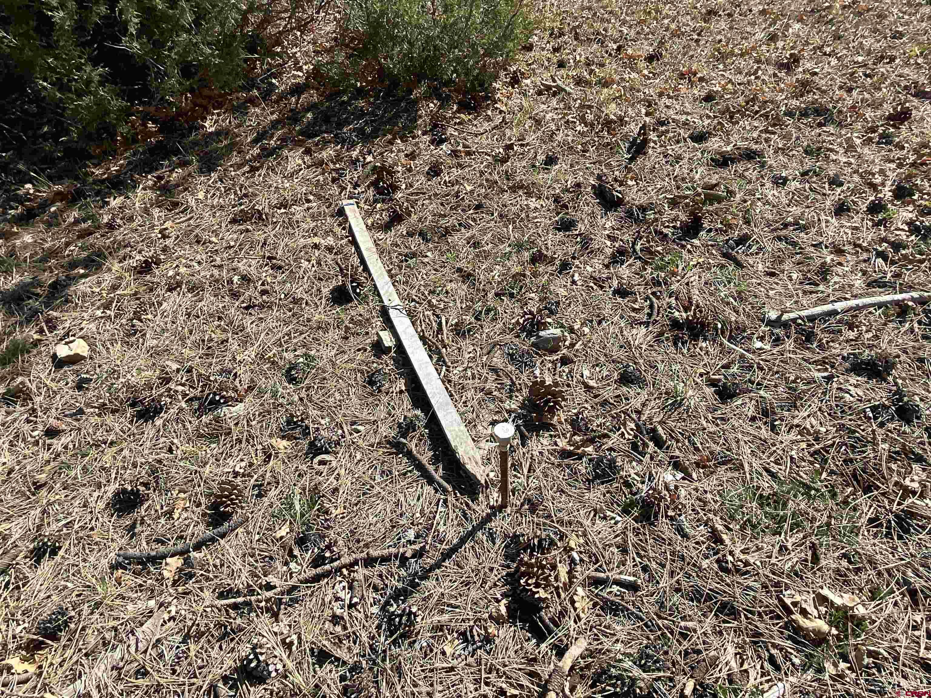 Tbd South Badger Trail Ridgway, CO 81432 - Photo 10 of 11