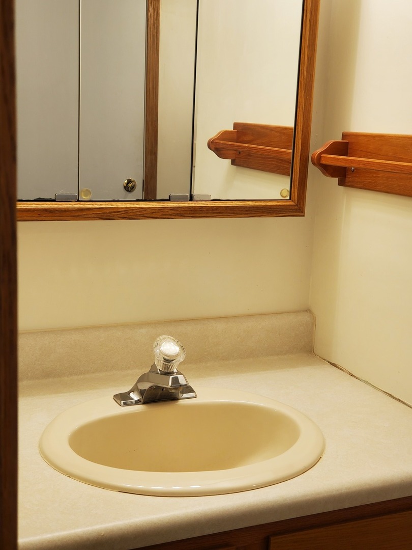 325 South Clark Street, Unit 1F Utica, IL 61373 - Photo 6 of 9 a bathroom with a sink and a mirror