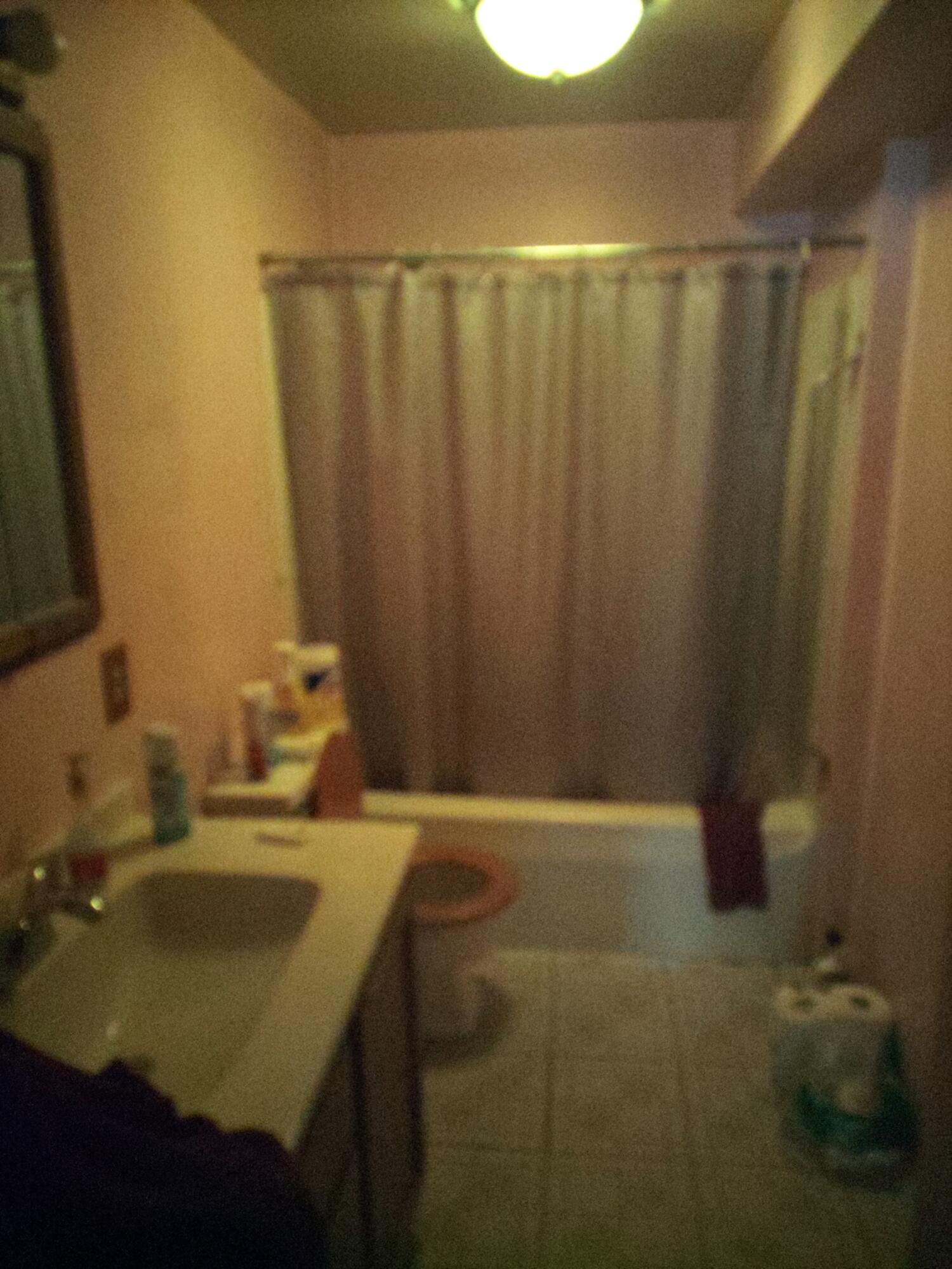 15570 Bailey Road Bailey, MI 49303 - Photo 16 of 21 Main Bath