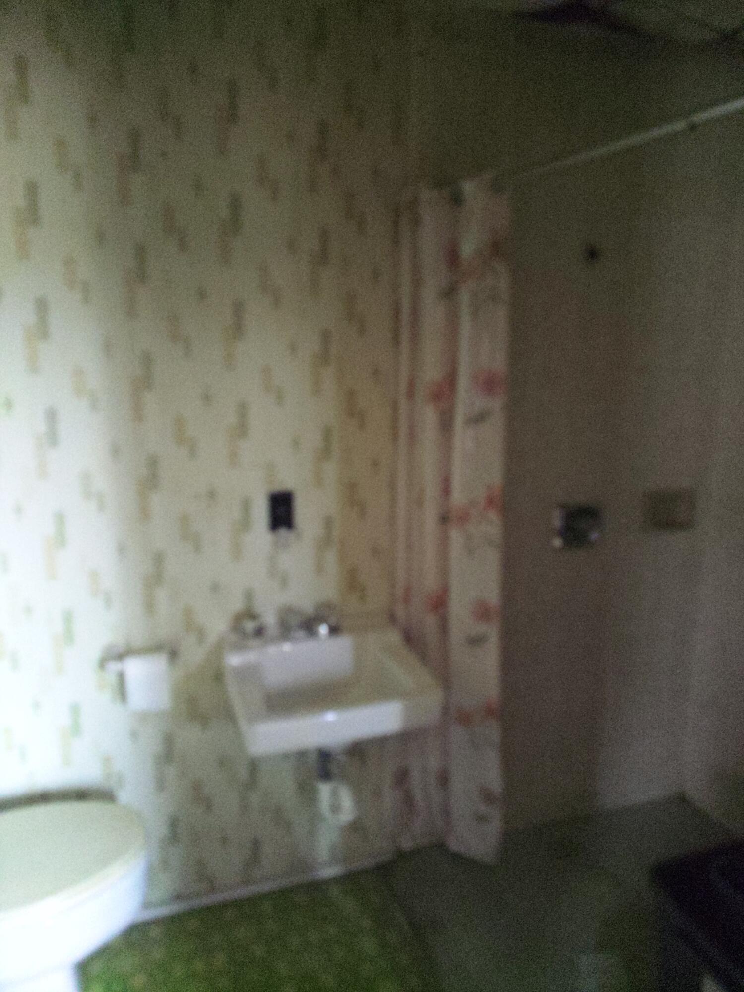 15570 Bailey Road Bailey, MI 49303 - Photo 17 of 21 Handicap Bath