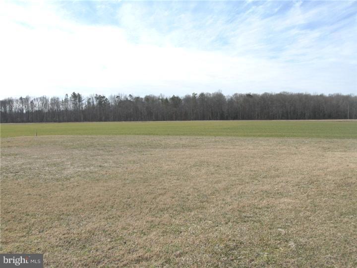 1900 Cattail Branch Road Harrington, DE 19952 - Photo 2 of 11 Gallery Image 2