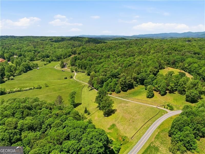 619 Hamp Mill Road Dahlonega, GA 30533 - Photo 2 of 118