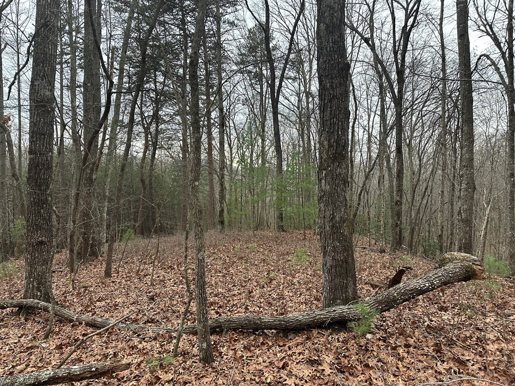 0 Marrestop Road Murphy, NC 28906 - Photo 7 of 14