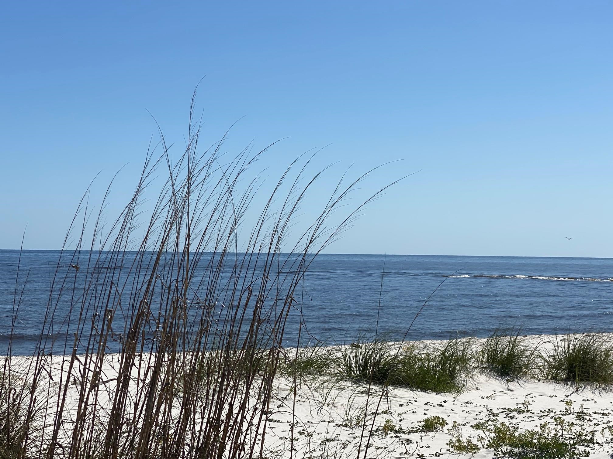 641 Bald Point Road Alligator Point, FL 32346 - Photo 3 of 39