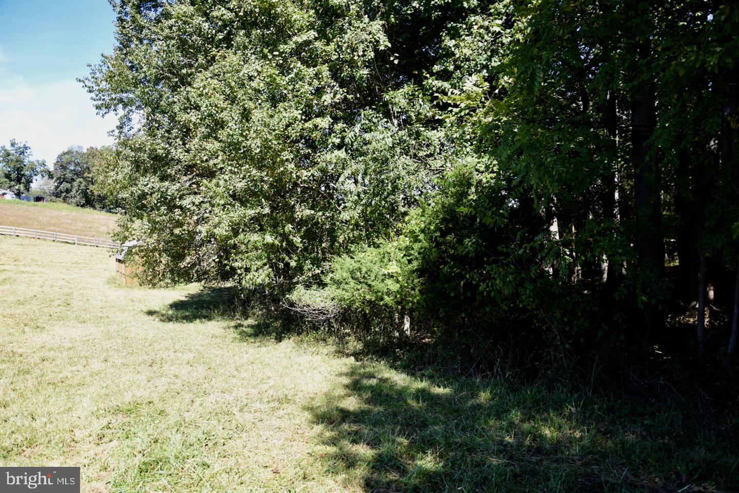 Tbd Grindstone Road Boston, VA 22713 - Photo 5 of 9 Forest Edge