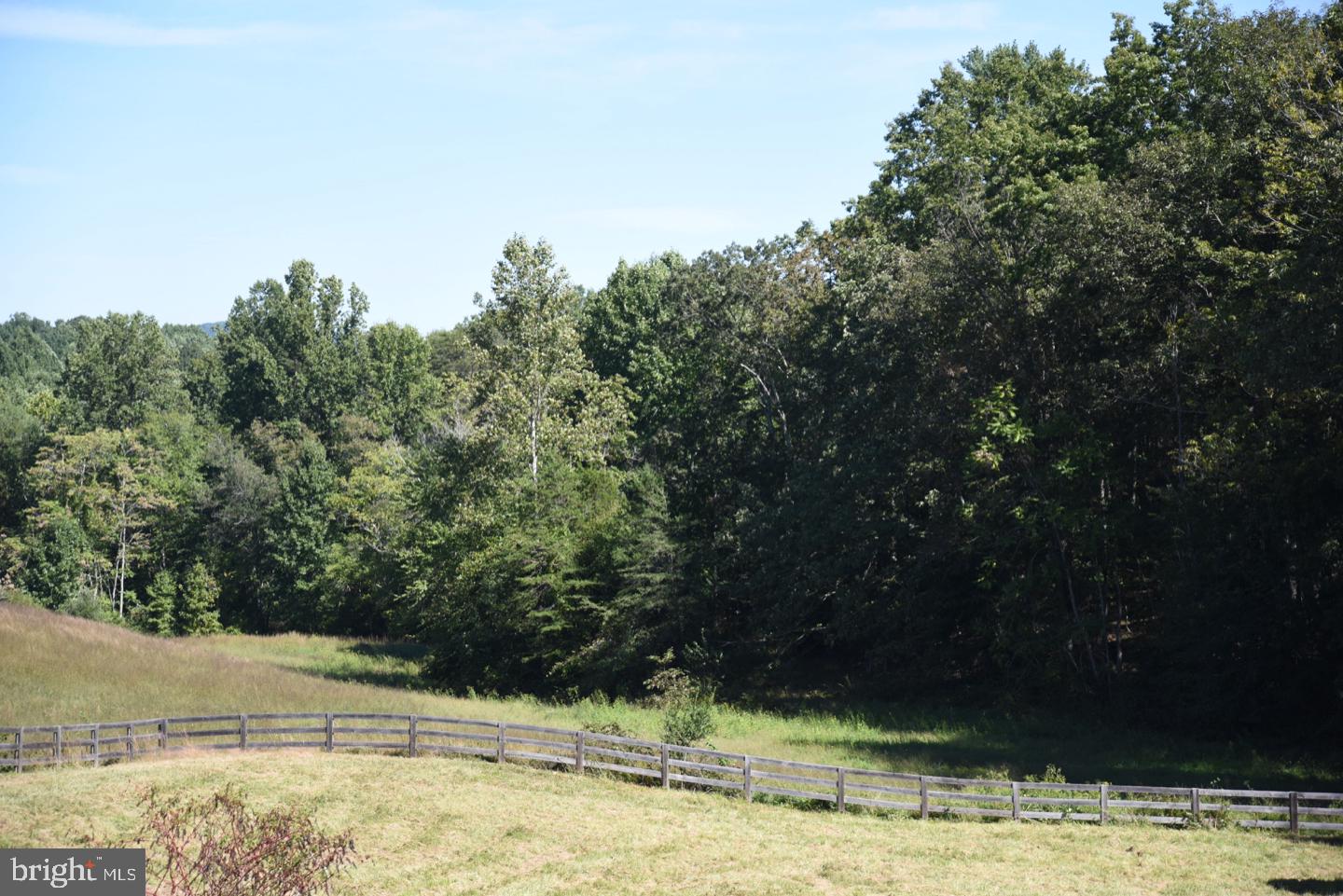 Tbd Grindstone Road Boston, VA 22713 - Photo 6 of 9 Oak Forest