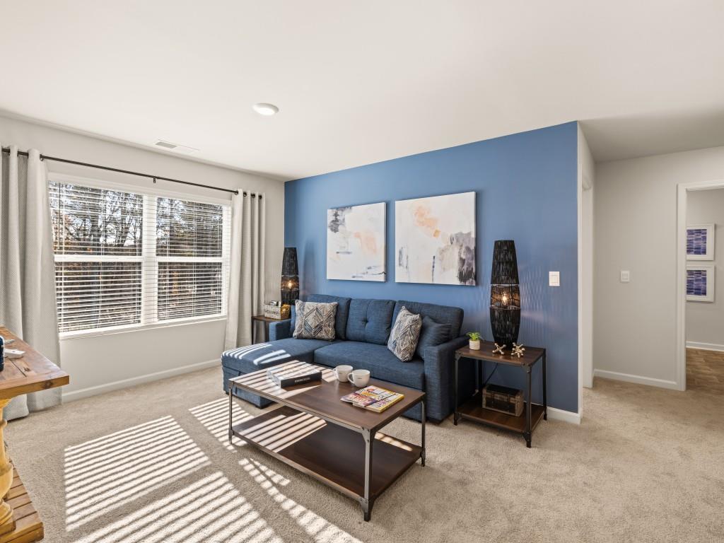 246 Thompson Rdg Lane Dallas, GA 30132 - Photo 36 of 69