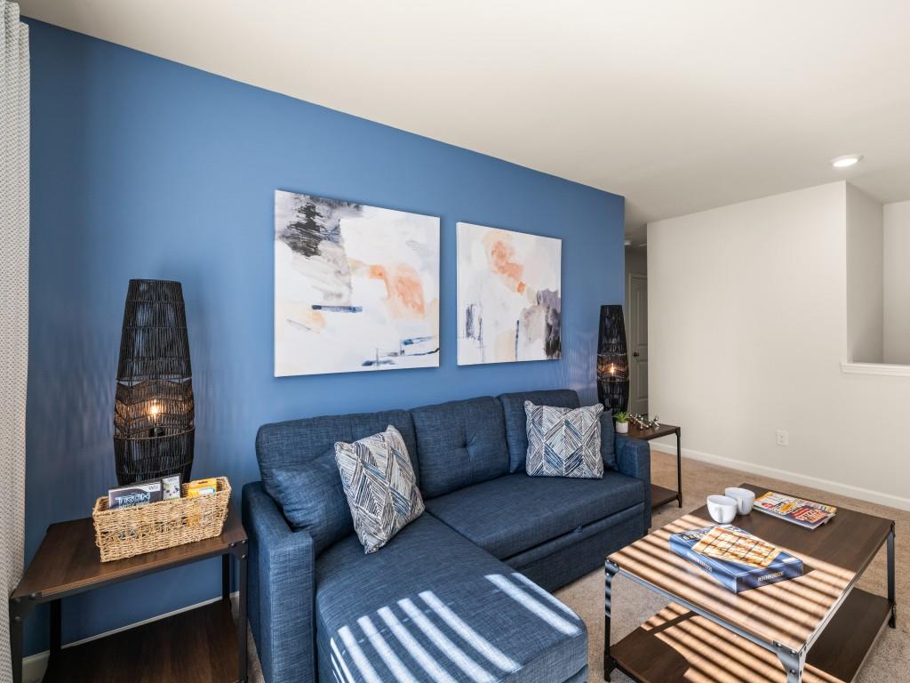 246 Thompson Rdg Lane Dallas, GA 30132 - Photo 38 of 69