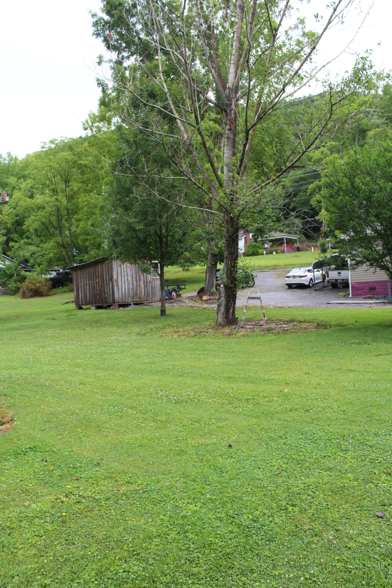 339 Left Poor Valley Road Pennington Gap, VA 24277 - Photo 10 of 35 IMG_2940