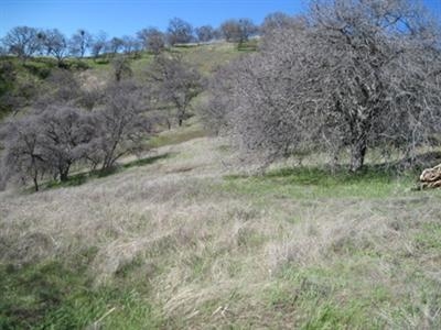 30294 Seminole Road Tollhouse, CA 93667 - Photo 3 of 7 Gallery Image 3