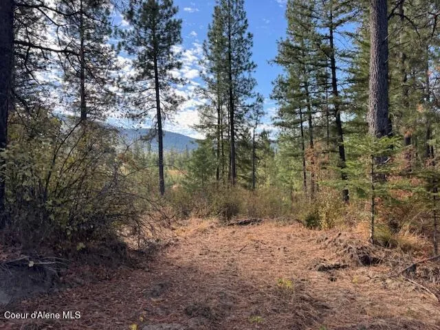 $370,500 | 40 Acres Dole Camp Road, Desmet, ID 83824