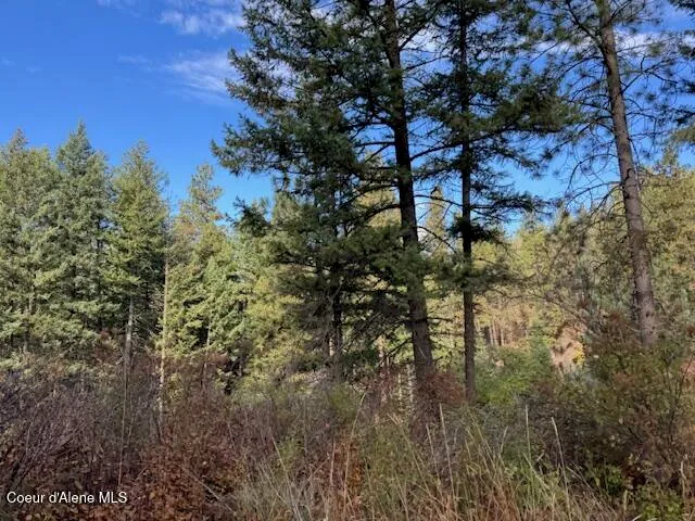 $370,500 | 40 Acres Dole Camp Road, Desmet, ID 83824