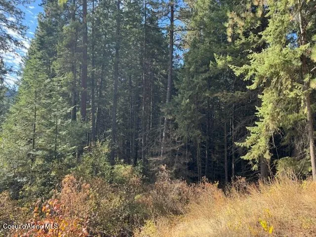 $370,500 | 40 Acres Dole Camp Road, Desmet, ID 83824