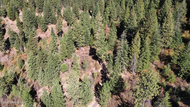 $370,500 | 40 Acres Dole Camp Road, Desmet, ID 83824